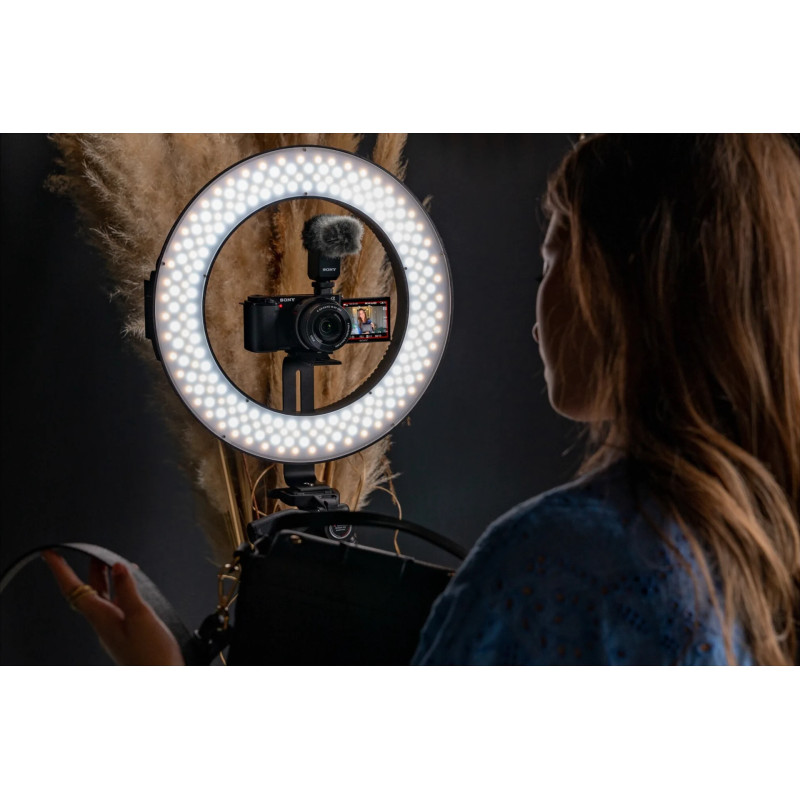 SONY ZVE10 242MP  SELP1650 VARIANGLE SCREEN FOR VLOGGING 4K